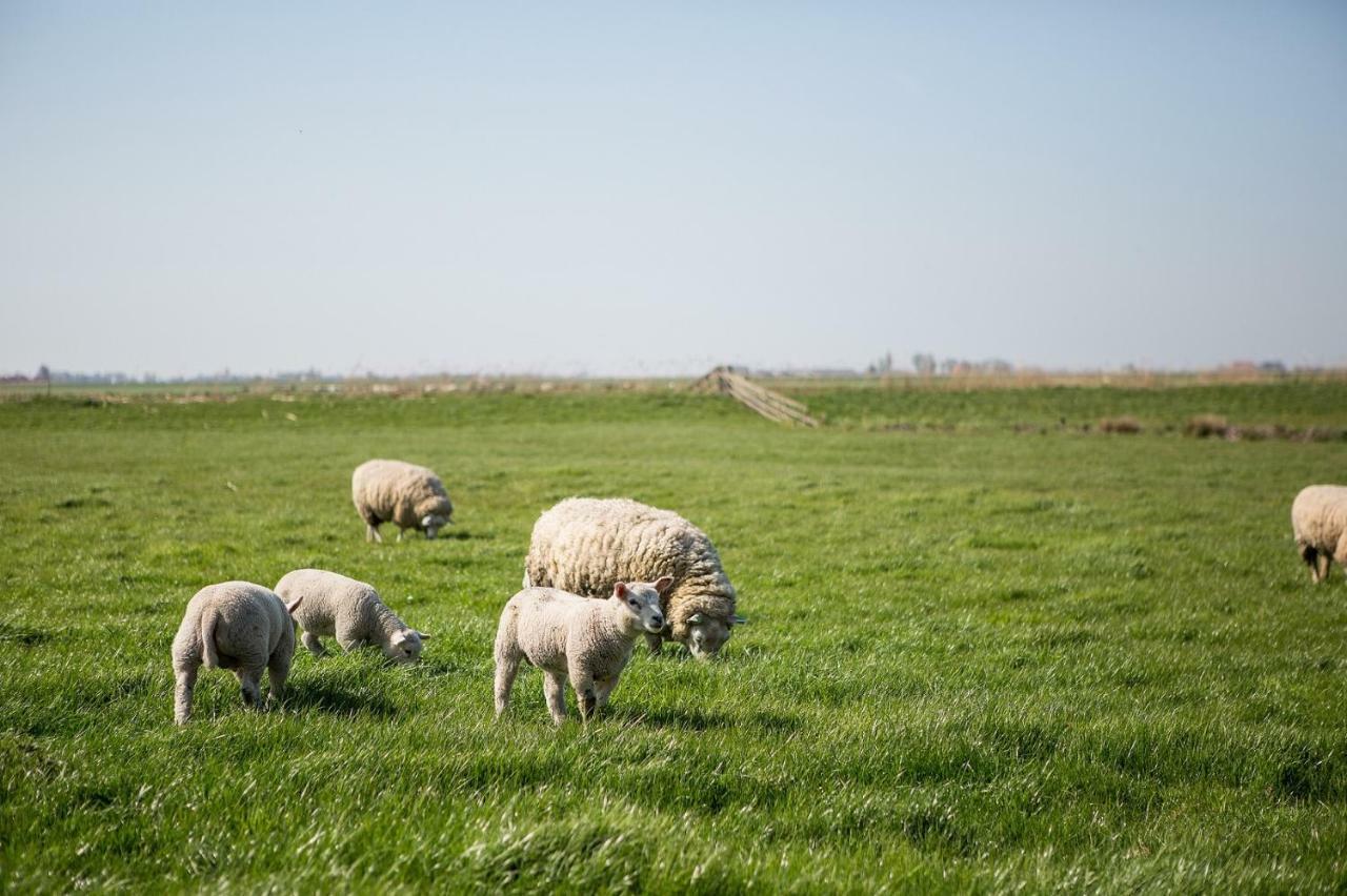 Boerderij Under De Wol - Sudwest Fryslan Apartment *